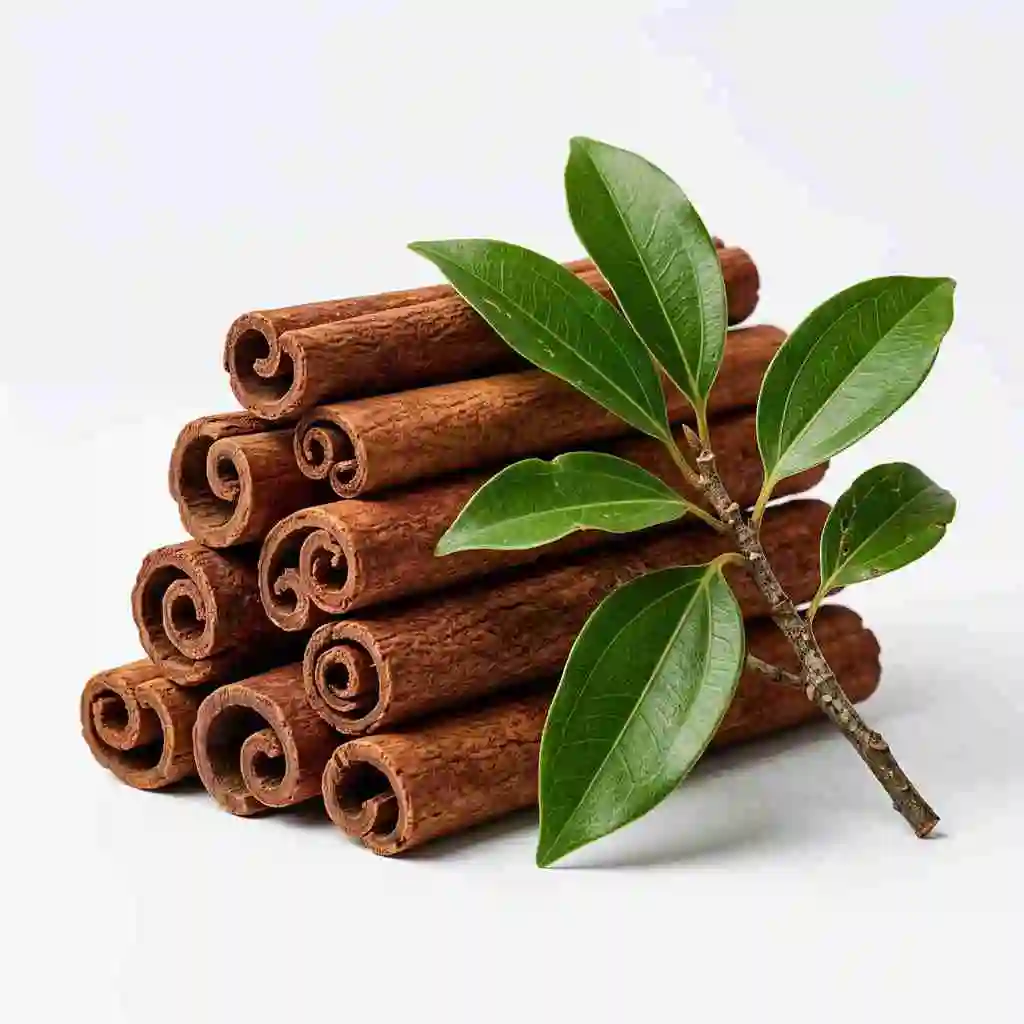 cinnamon-bark-extract